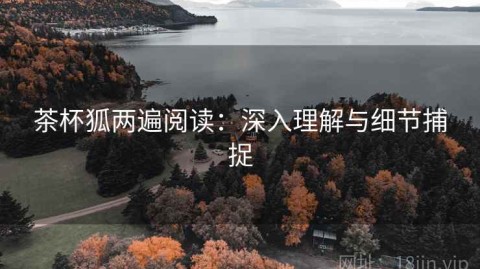 茶杯狐两遍阅读：深入理解与细节捕捉