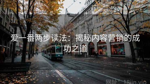 爱一番两步读法：揭秘内容营销的成功之道