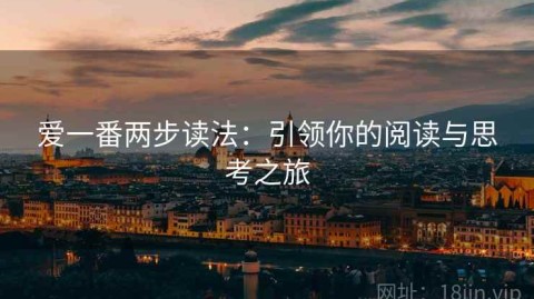 爱一番两步读法：引领你的阅读与思考之旅