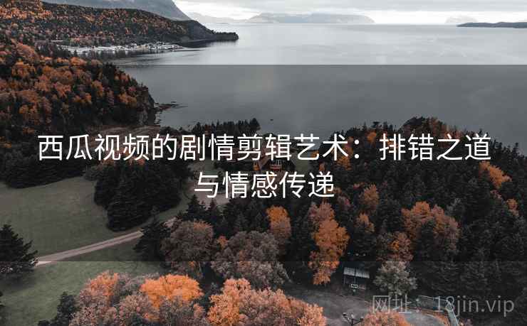 西瓜视频的剧情剪辑艺术：排错之道与情感传递