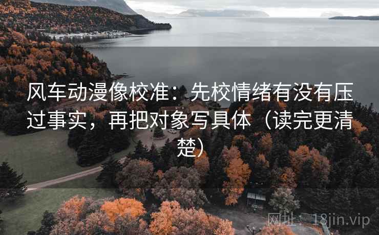 风车动漫像校准：先校情绪有没有压过事实，再把对象写具体（读完更清楚）